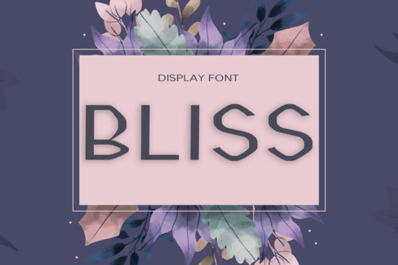 Bliss Display Font for Clean Web Design